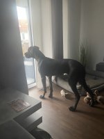 Zeus 8 Monate.jpg