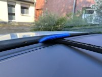 IMG_2542.jpeg IMG_2542.jpeg