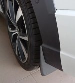 IMG_2723.jpeg