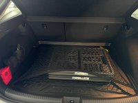 IMG_2762.jpeg