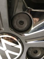 IMG_4651 Medium.jpeg
