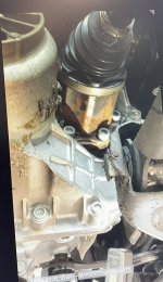 IMG_0784.jpeg